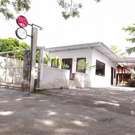 Mayeka Transit Hostel Bandara Internasional Lombok برايا المظهر الخارجي الصورة