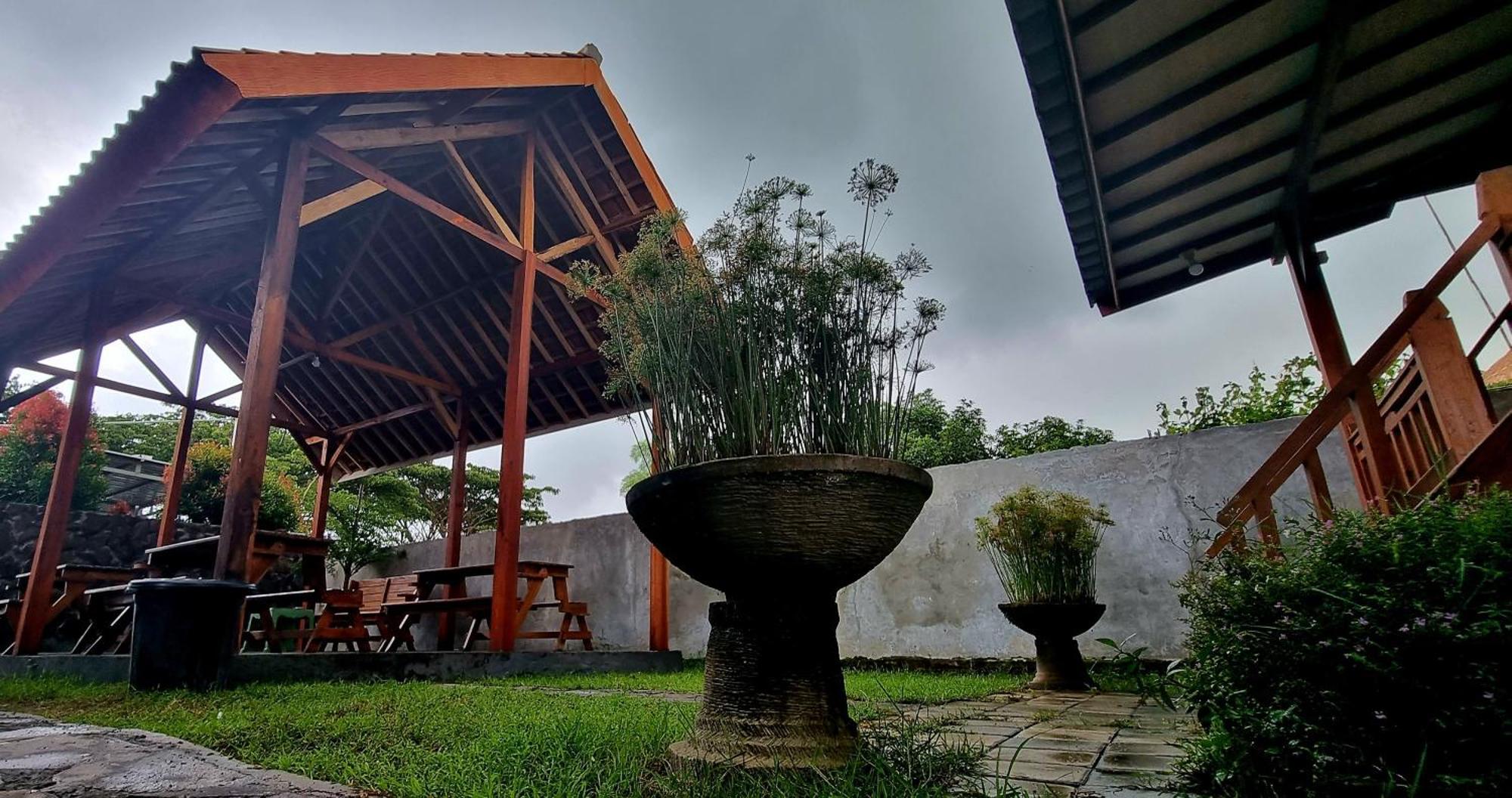 Mayeka Transit Hostel Bandara Internasional Lombok برايا المظهر الخارجي الصورة